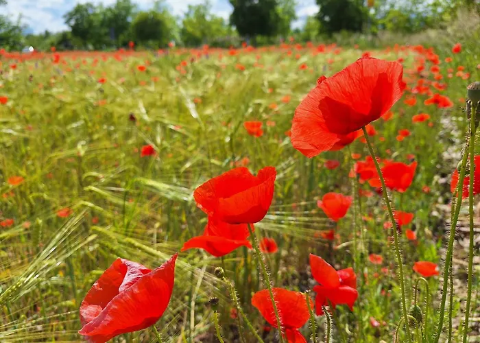 Appartementhaus Meier Bad Füssing